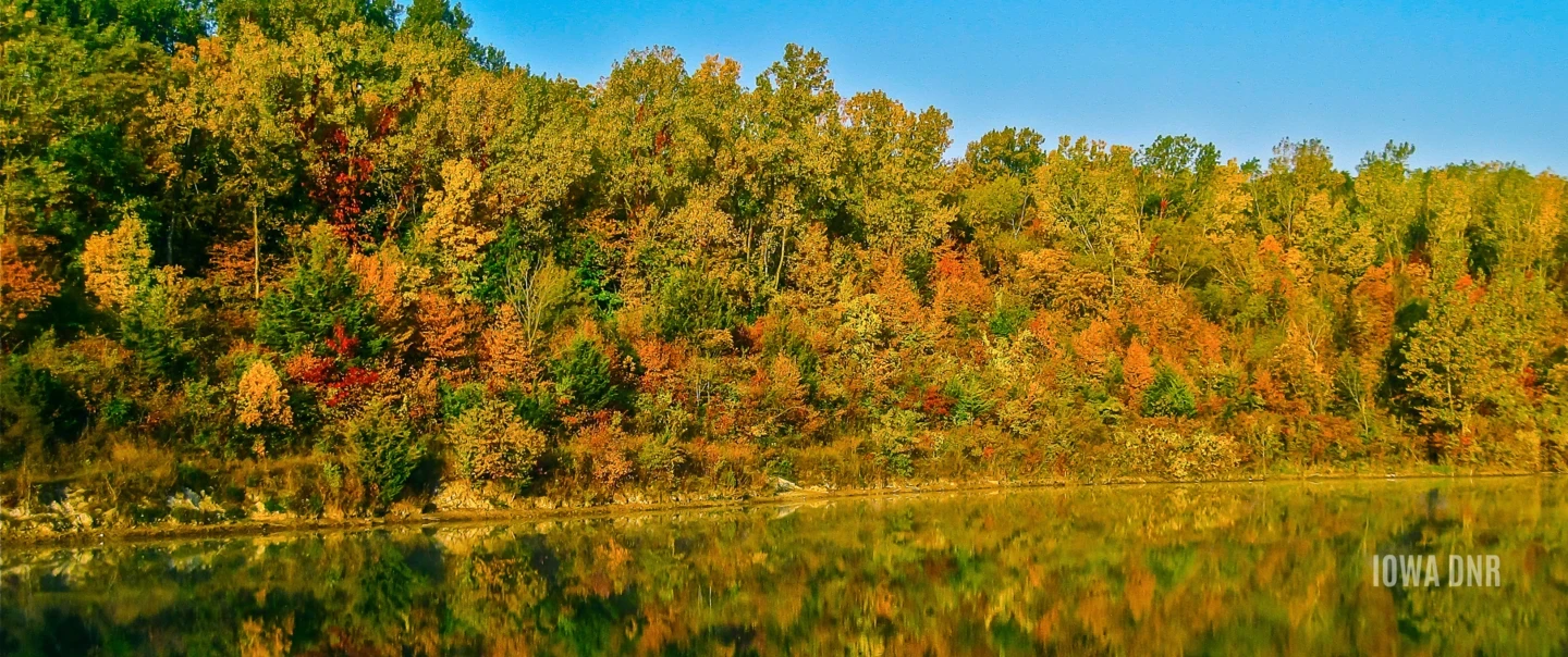 Beautiful trees in fall colors along a river.