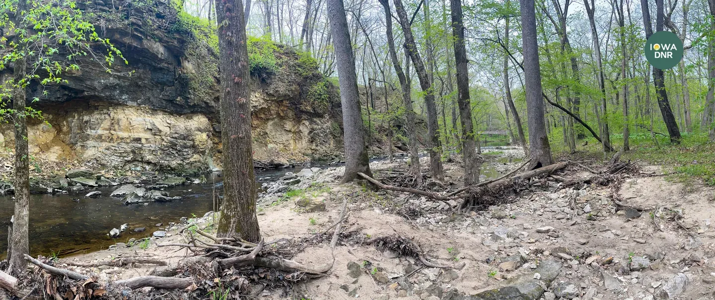 Geode State Park, trees on creek bed.
