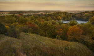Fall colors of red, brown, and yellow through an Iowa landscape.
