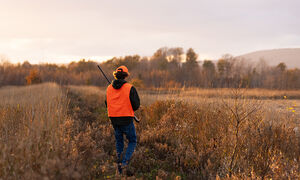 Hunter walking a field in the fall.