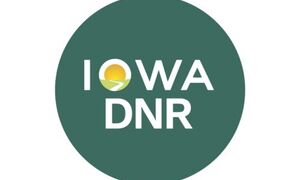 DNR Logo, white text on green circle.