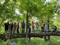 Springbrook State Park Wildlife Camp