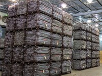 Tree seedlings from the DNR State Forest Nursery packaged for delivery