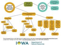 This flow chart outlines who needs to submit a Bonded Timber Buyer Applications.