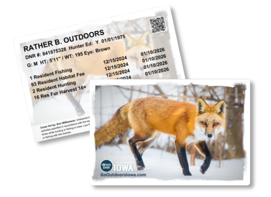 Upgrade paper license to a hard card, fox version.