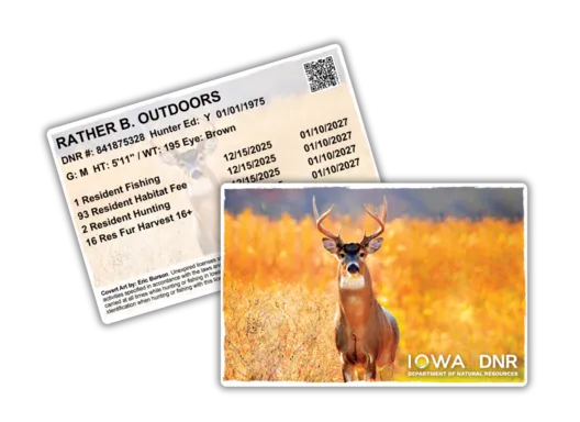 2026 Iowa DNR Hard Card showing white tailed deer