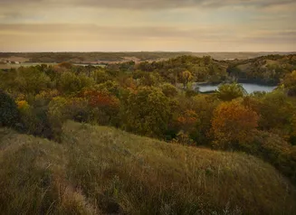 Fall colors of red, brown, and yellow through an Iowa landscape.