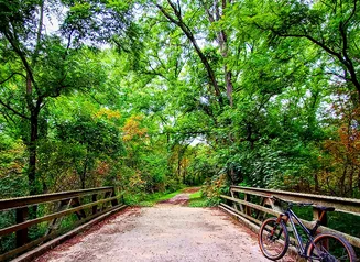 A bridge on a hiking trail.