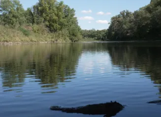 Image shows water levels on an Iowa river