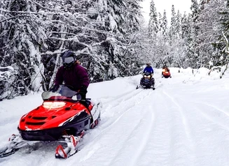 Snowmobiles driving on a trail through a snowy winter scene.