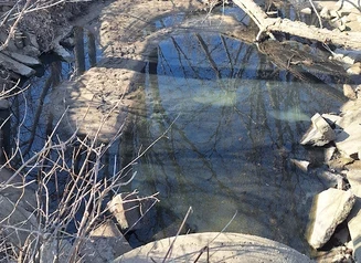 This image shows a stormwater drainage ditch with discolored water in Daubendiek Park in Jefferson