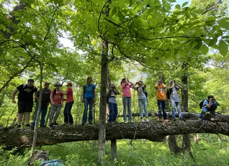Springbrook State Park Wildlife Camp