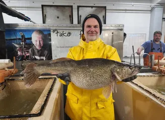 biologist with female walleye at Rathbun hatchery