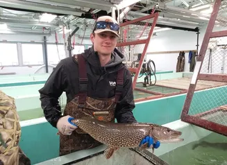 northern pike held by biologist 
