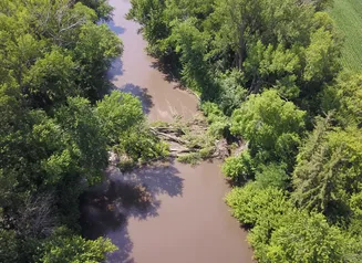 This image shows large fallen cottonwood trees causing a dangerous hazard on the South Skunk River Water Trail downstream of Lincoln Way in Ames. 