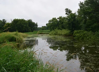Oxbow and food plot at Red Fox Wildlife Area, in Benton County. Photo courtesy of the Iowa DNR.