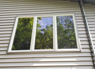 Birds see habitat when vegetation and sky is reflected in windows.