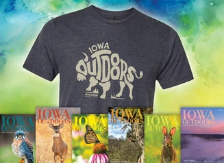 2025 magazine shirt with buffalo reading Iowa Outdoors.