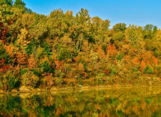 Beautiful trees in fall colors along a river.