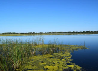 West Swan Lake is part of a string of lakes and marshes stretching through the middle of Emmet County.