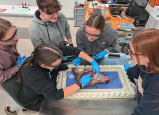 High school students examining actual deer heads and pulling lymph nodes for testing.