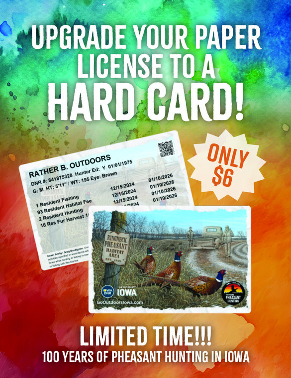Upgrade Your Paper License to a Hard Card - Pheasant poster