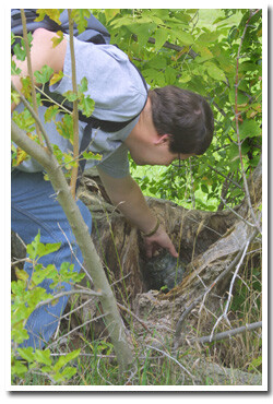 A man finds a geocache in the forest