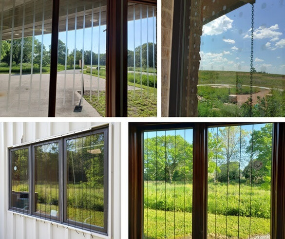Helpful ideas for window treatments to prevent bird strikes.