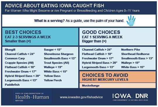 Chart showing the best choices (2-3 servings a week) and good choices (1 serving a week) for pregnant and breastfeeding women and children 0-11