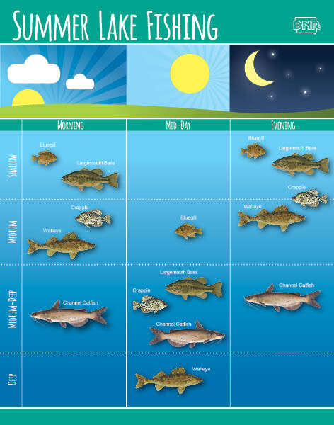 A chart of which fish species bite best during which time of the day - morning, mid-day, evening.