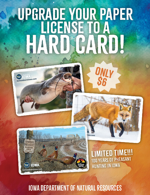 Upgrade Your Paper License to a Durable Hard Card