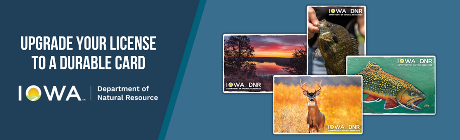 Four new card designs include bluegill, scenic view, white-tailed deer and fish art contest.