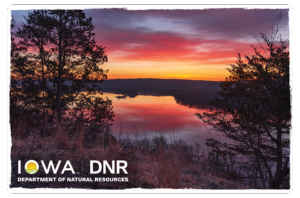 2026 Sunset Collectible Hard Card Design 