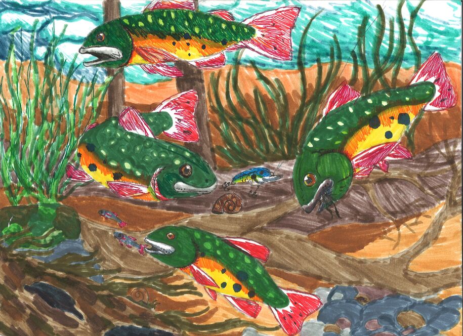 4-6 winner Iowa fish art contest