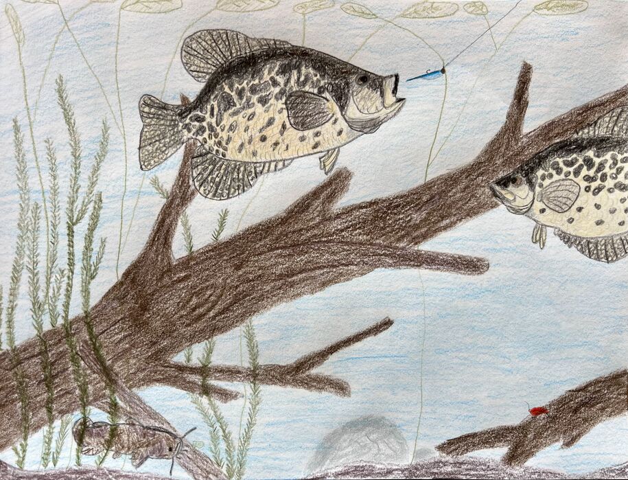 7-9 winner Iowa fish art contest