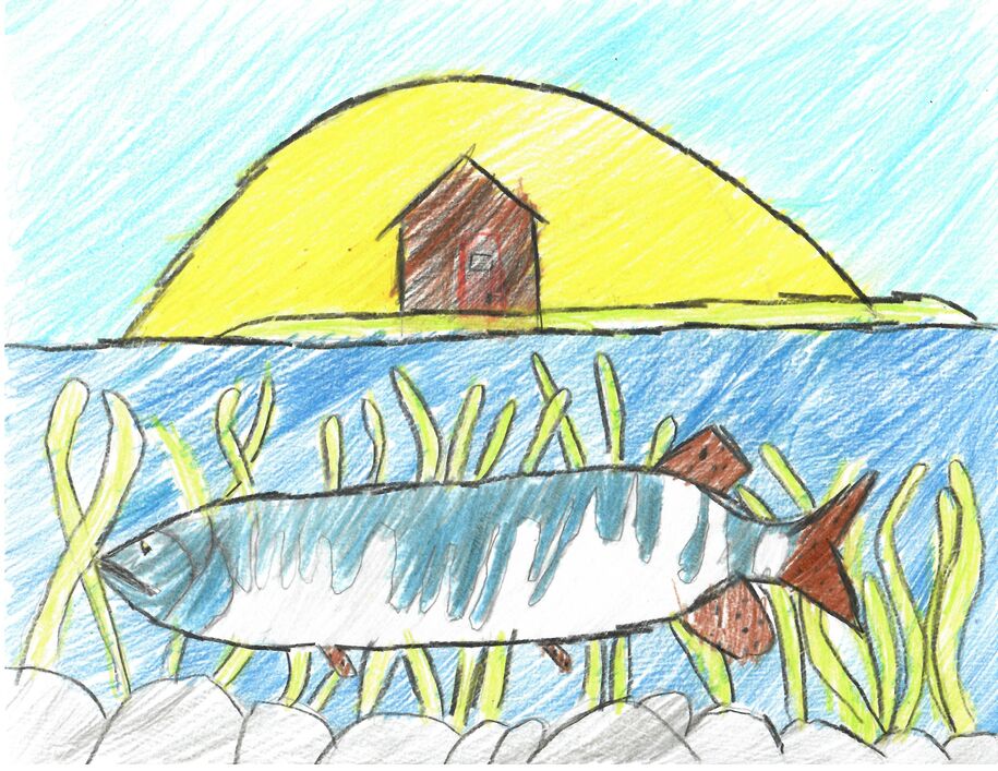 K-3 winner Iowa fish art contest