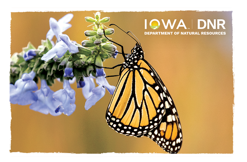 Iowa DNR Collectibe Hard Card - Monarch Design