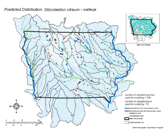 Map of the predicted distribution of walleye in Iowa based on Iowa DNR electrofishing research. 
